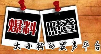 劲爆新闻爆料平台官网,揭秘最新热点事件，独家爆料一网打尽！  第2张