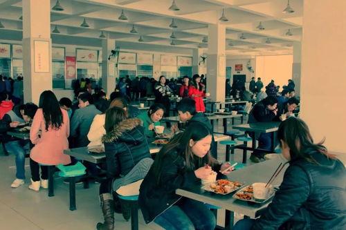 扬职大食堂新闻爆料视频,揭秘校园美食背后的故事  第1张